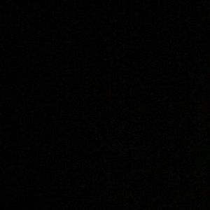 Meet your Posher, Maddie